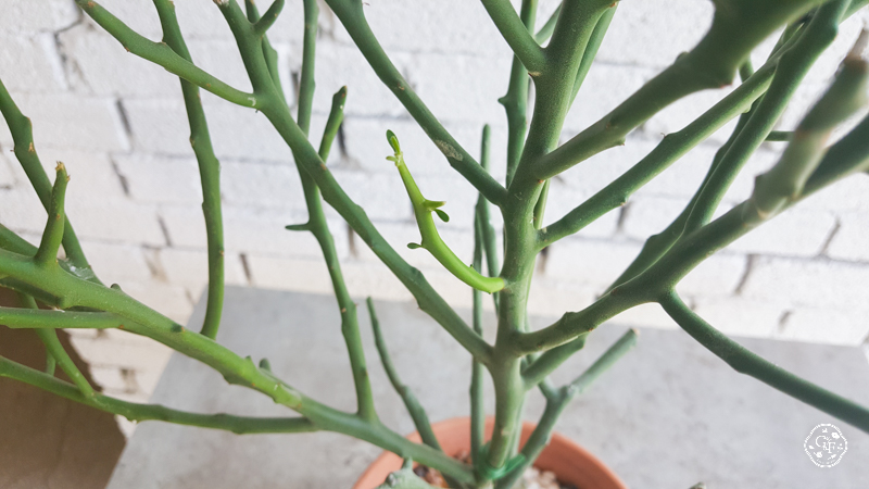1643951654204.jpg