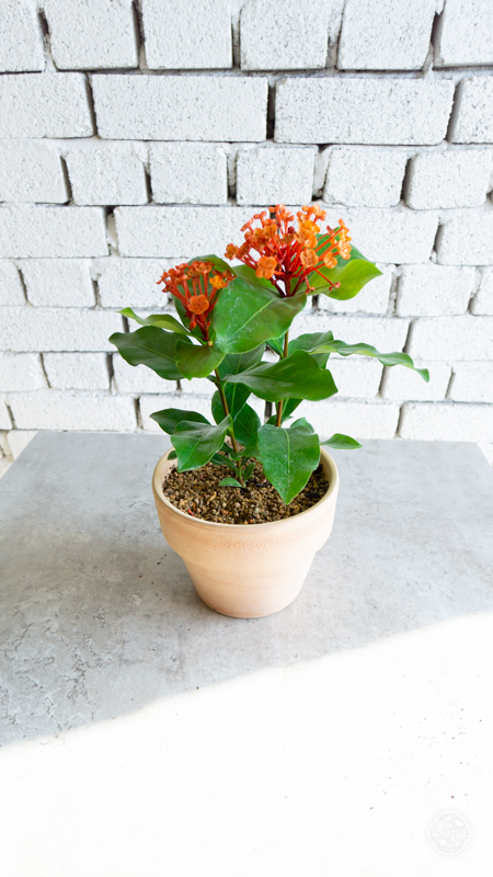 1644467725545.jpg